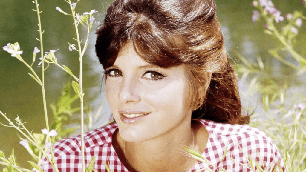 Katharine Ross: A Hollywood Legend’s Journey Through Cinema