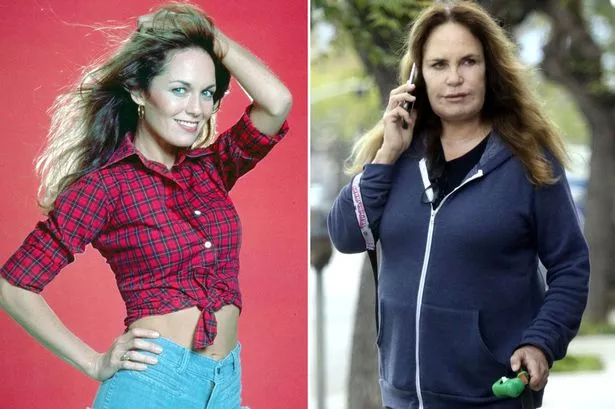 Catherine Bach’s Biography: Life, Career, and Present