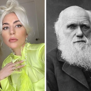 We Compared the IQs of Renowned Scientists vs. Celebrities and the Results Were Surprising We Compared the IQs of Renowned Scientists vs. Celebrities and the Results Were Surprising