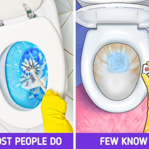 Flushing Out the Truth: What a New Study Reveals About Germs and Toilets Flushing Out the Truth: What a New Study Reveals About Germs and Toilets