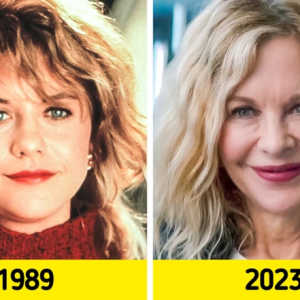 Meg Ryan Makes a Glamorous Return to the Spotlight—and Sparks Mixed Reactions Online