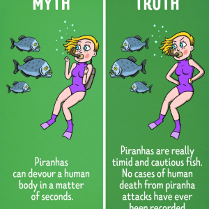 13 Movie Myths We’ve All Been Tricked Into Believing
